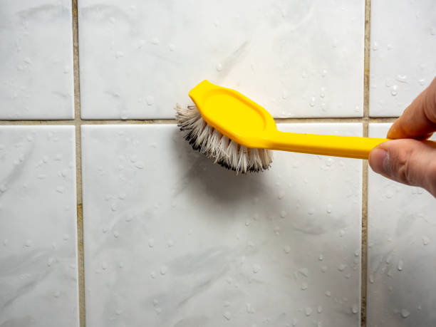 Best Preventive Mold Services in Nashville, GA