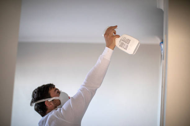 Best Mold Remediation for Schools in Nashville, GA